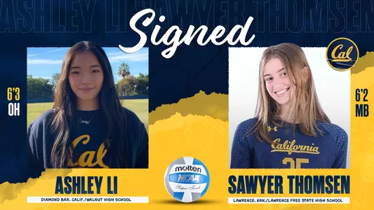 Volleyball NSD
