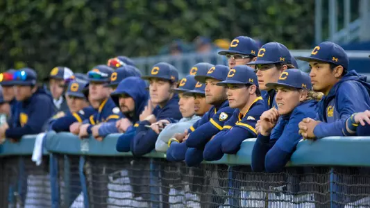 Cal Baseball
