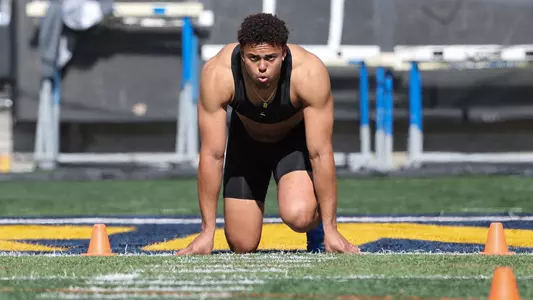 2022-03-16 Cameron Goode Multiple Bears Shine On A Sunny Pro Day