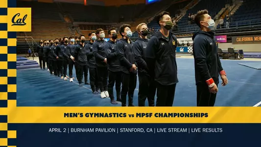 MPSF Preview