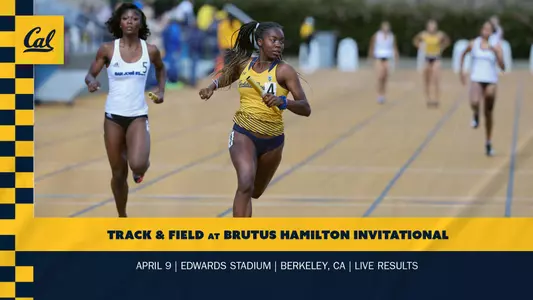 Brutus Hamilton Preview