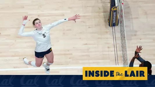 VB Back In Camp