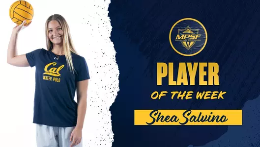Shea Salvino