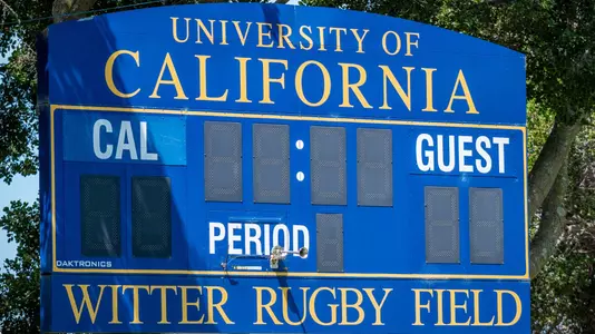 Witter Rugby Field Scoreboard