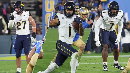 2023-11-27 Jaydn Ott David Reese Cade Uluave Cal Wins Another Trio Of Pac-12 Player Of The Week Honors
