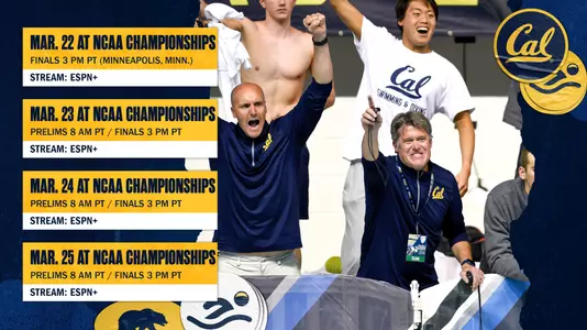 NCAA Men's Swimming Preview