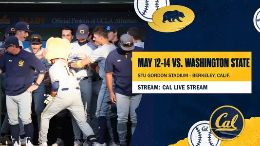 Base: Preview vs Washington State