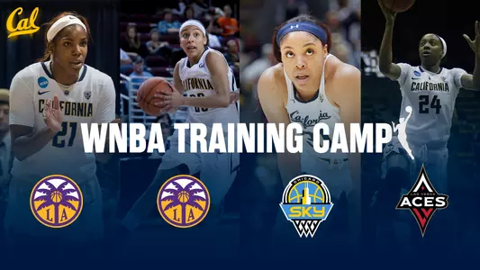 Bears in WNBA training camps