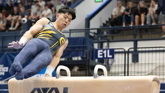 Tyler Shimizu