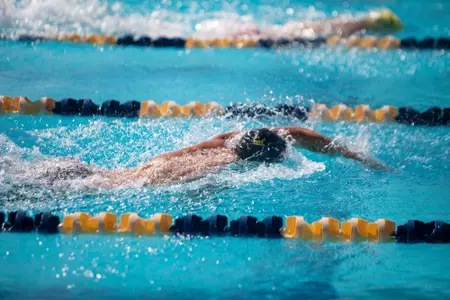 Men's swimming & diving