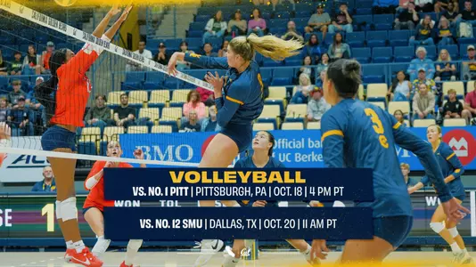 Pitt, SMU preview 2025 VB