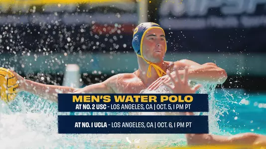 MWP Preview 241004