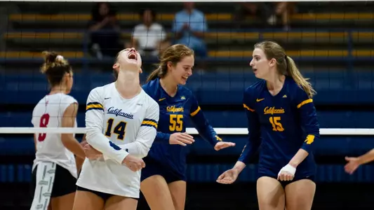 Cal VB vs. NC State 2024