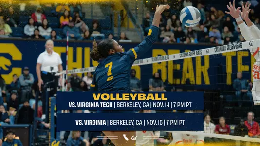 2024 VB vs Virginia Tech, Virginia