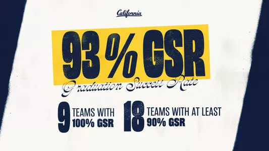 GSR Graphic - 2024