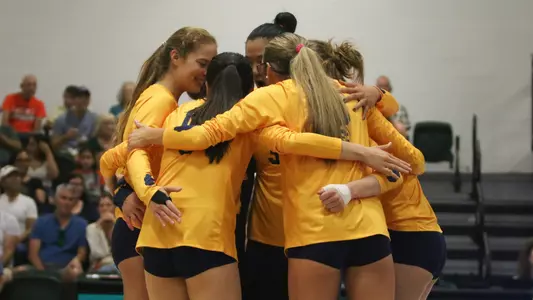 2024 Cal VB at Miami 11.03