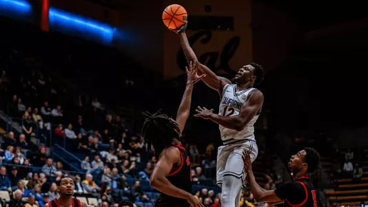 Men's Basketball: Mady Sissoko vs. Cornell