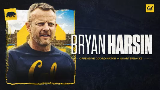 Harsin Hire Graphic
