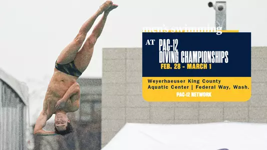 MSWIM | Diving championships preview