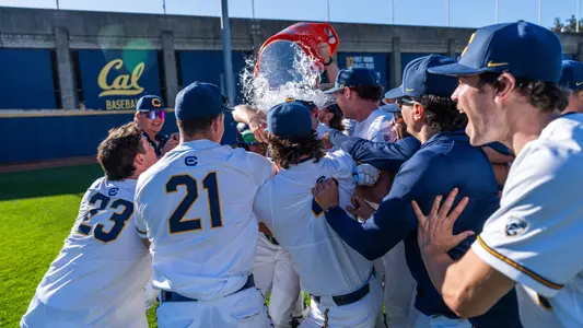 Cal baseball celebrates a walk off