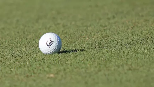Men's Golf: Golf Ball