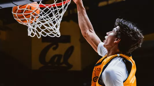 Men's Basketball: Andrej Stojakovic