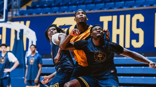 Men's Basketball: Lee Dort