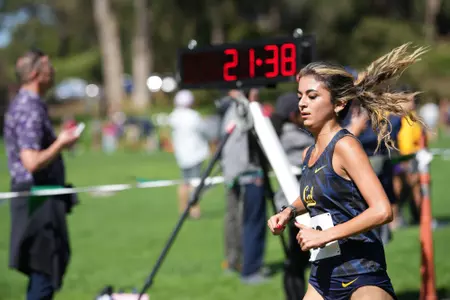 Bears conclude the Roy Griak Invitational