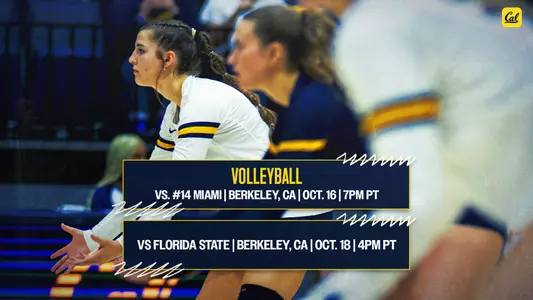 VB - Miami, FSU 2025 preview