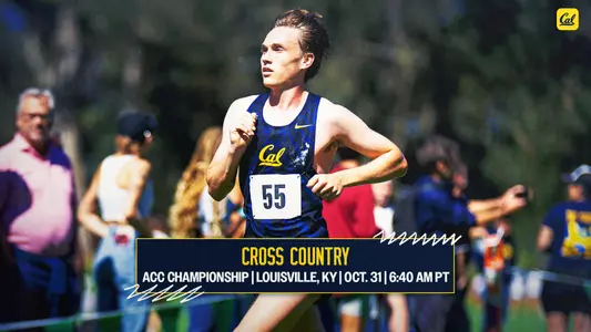 Bears Head to Louisville