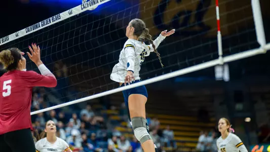 November 23, 2025; Berkeley, California, USA; Cal Volleyball vs Stanford; (Photo credit: James Molgaard/KLC ƒotos)