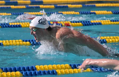 MSWIM: Bears Earned 12 First-Place Finishes
