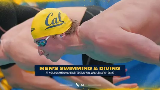 No. 3 Bears Head To NCAA Championships
