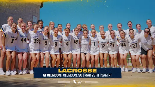 Bears Play No.16 Tigers on Saturday