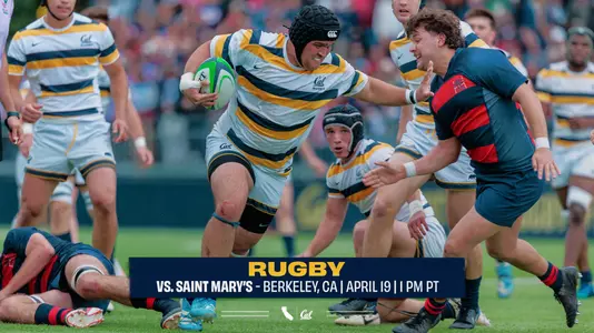 Cal Rugby Semifinals vs. Saint Mary's Web Preview