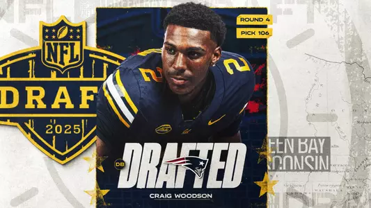 Craig Woodson NFL Draft