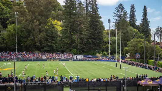 Witter Rugby Field
