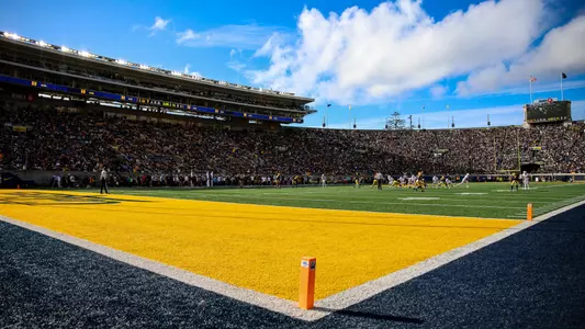 CMS Endzone