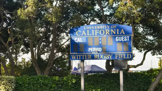 Witter Rugby Field Scoreboard 2024