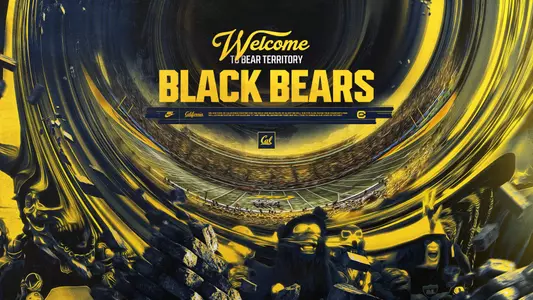 Welcome Black Bears