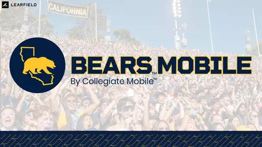 Bears Mobile Graphic