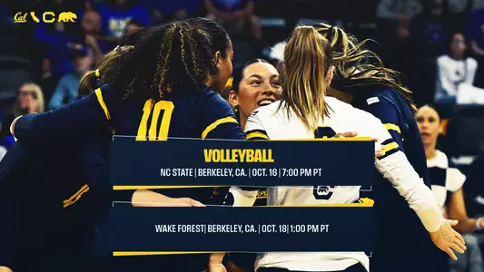 VB Header