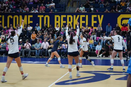 Cal Volleyball Celebrates
