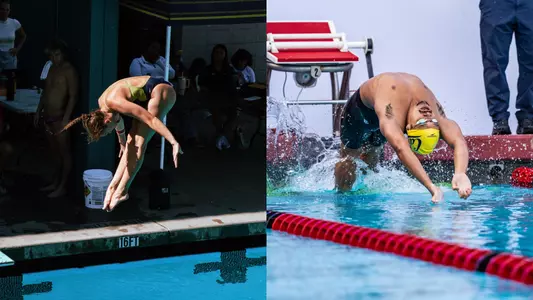 SWIM/DIVE Home Tri & CSL 2 Recap