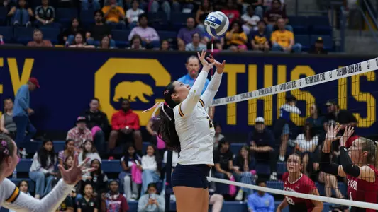 Cal Volleyball