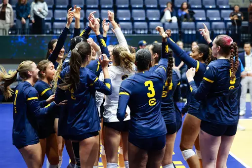 Cal Volleyball Celebrates Win Against Stanford