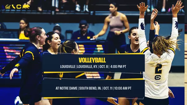 CAL VB header