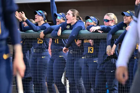 cal bench
