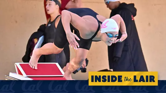 Abby Herscu - CSQ web graphic