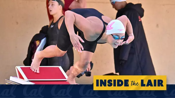 Abby Herscu - CSQ web graphic
